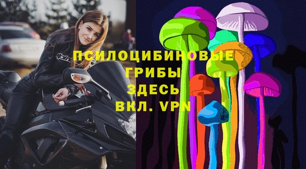 твердый Нефтегорск