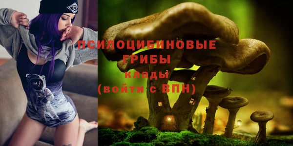 крисы Нея