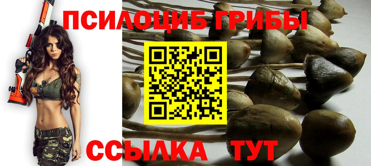 Радужный  Галлюциногенные грибы Psilocybe  Вход с VPN 